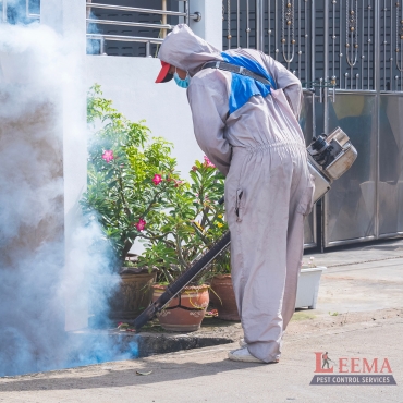 Mosquito Fogging